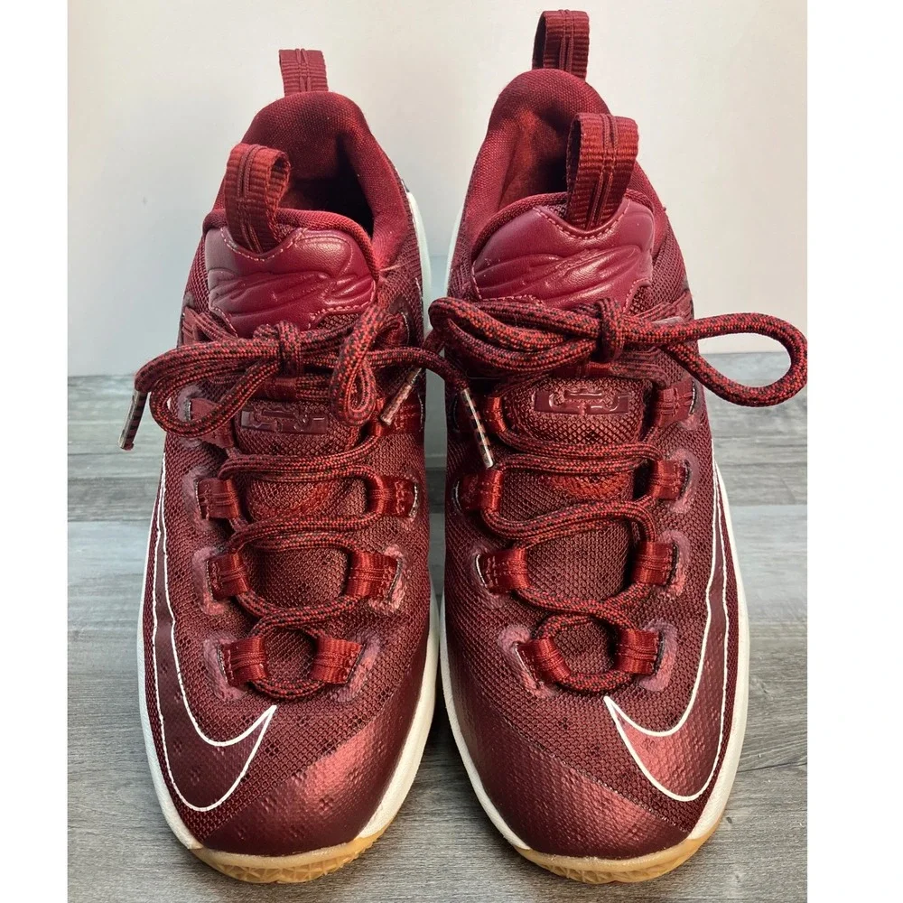 Nike lebron 13